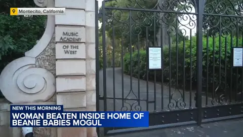 A violent break-in occurred at the California home of Beanie Babies mogul Ty Warner that left a woman in a coma, officials said. A Nevada man now faces multiple charges, including attempted murder, in connection with the home invasion and assault, according to the Santa Barbara County District Attorney's Office. The incident unfolded on May 21 at the Montecito home of Warner, according to court filings obtained by ABC News.