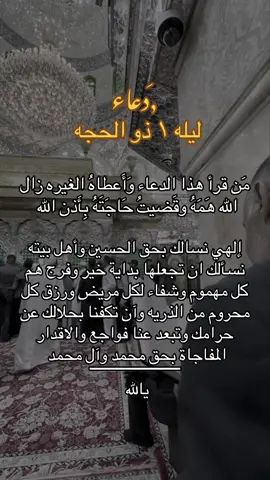 🕊️🤲