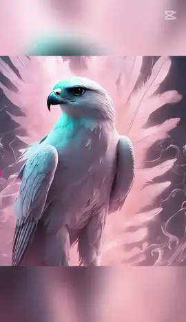 🦅👉