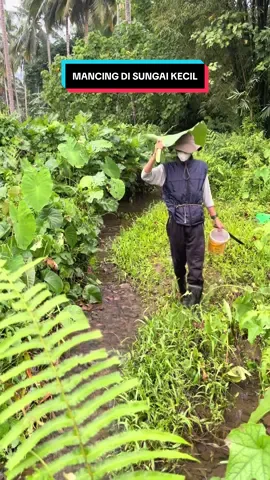 Membalas @DINZZ PLWRS mancing di sungai kecil strike bertubi-tubi 🤤 #indo1team #mancingliar #neuroattractantspray #alwaysstrike