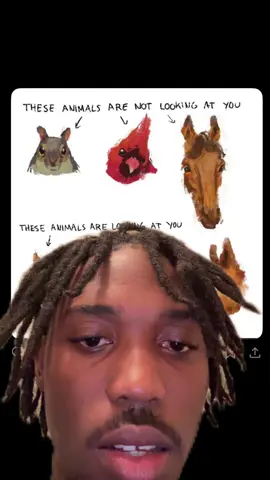 #greenscreen 