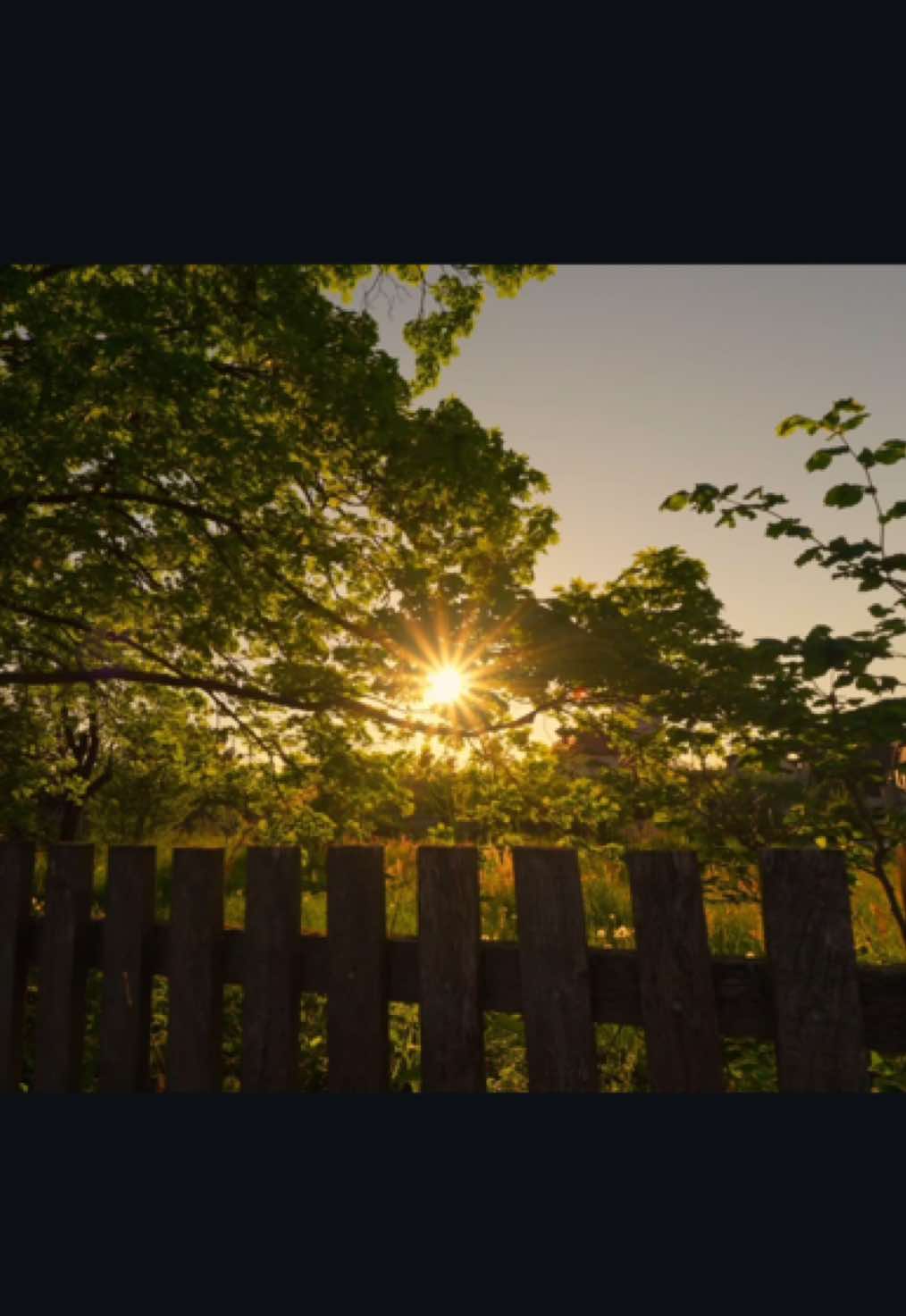 This song always makes me so emotional. #cinematic #videography #nature #freedom 