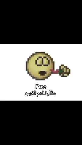 سبايسي#fy 