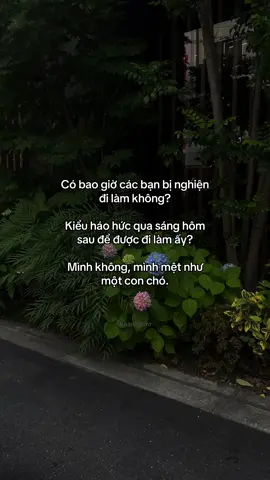 #khanhmiro #foryou 