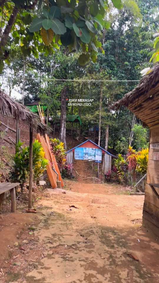 Alasan kenapa suka banget ngebolang😍🥰🌳🌱🌿🍃🪵🪨#explore #hutanborneo #riam #fyp #travel #kalbarpride #femaletraveler #borneo 