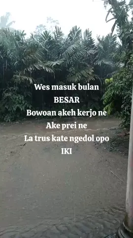 #fypシ゚ #fypシ゚ #fypシ゚  Udane ORA tau prei #masukberanda  #ypppppppppppppppppp 