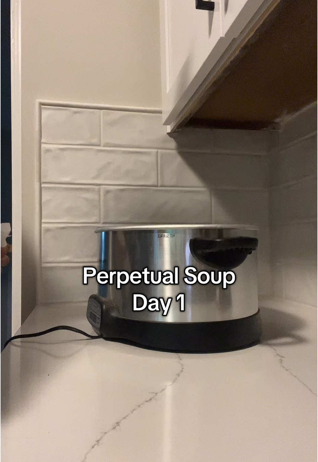 My perpetual soup Day ONE! Lets see how it goes  #foreversoup #perpetualstew #crockpot 