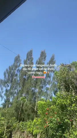 #videodeamor #paradedicar🙈❤️🙈 #paratii #miamor😍 #fypシ゚ 