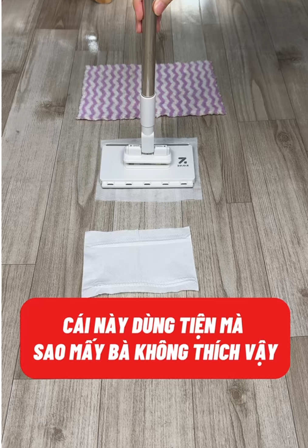 Cây lau kẹp khăn Zolele #ngandecor #caylaukepkhan #zolelevietnam #zoleledm02 