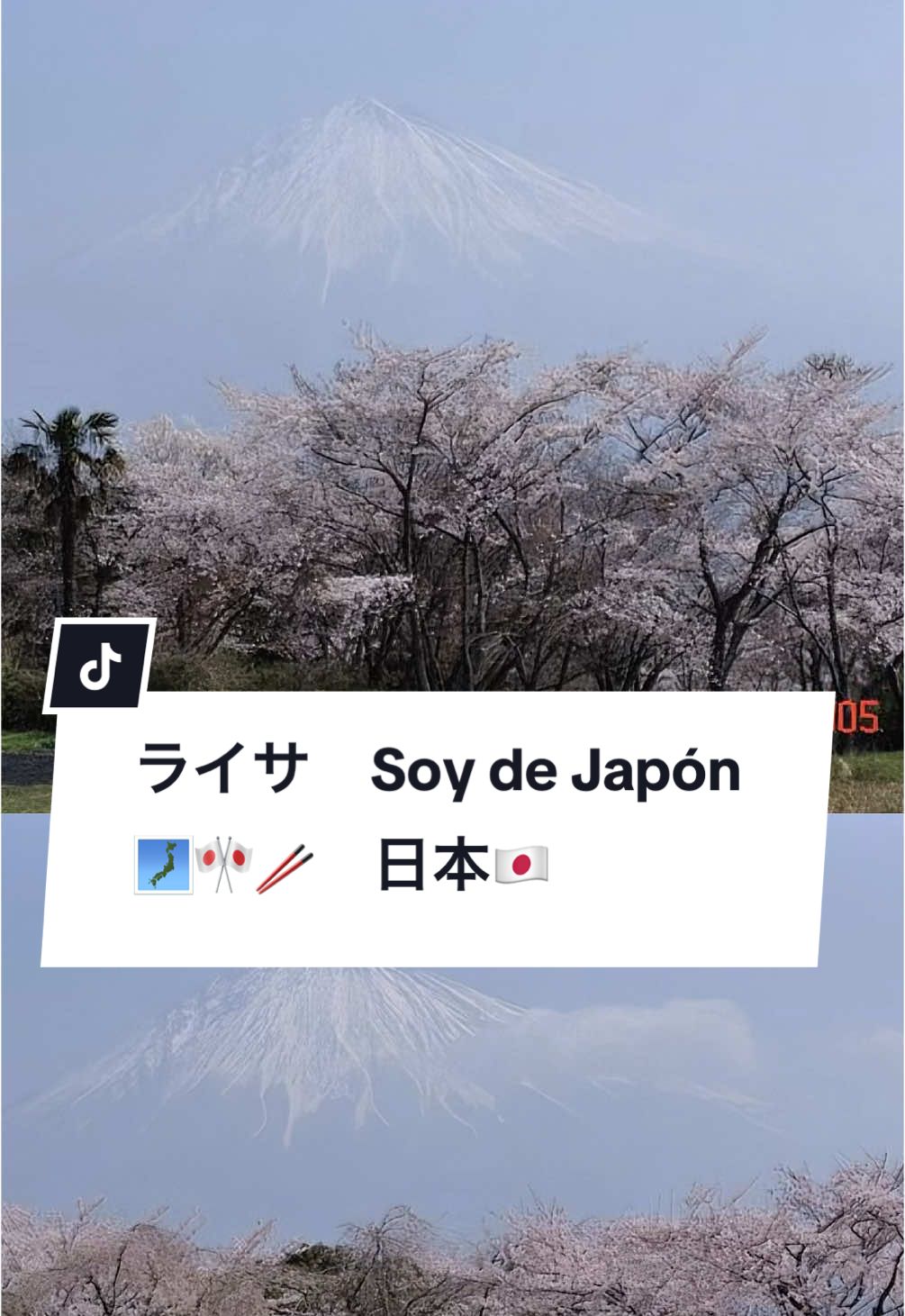 Lo que les gustan de Japón? #comida #japon #niña #nasci #japonesa #nihon #nihongo #japan #vidaenjapon #creatorsearchinsights 