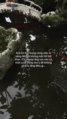 …#tamtrang #story 