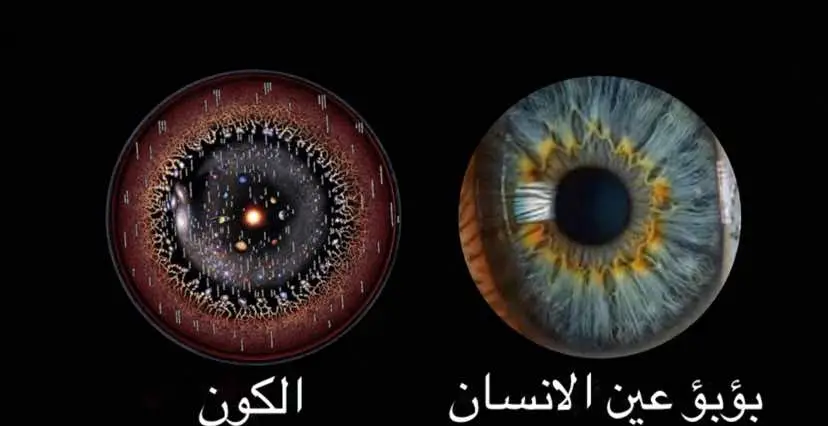#nature #life #universe #matrix #foryoupage #viral #trendingvideo #xybca 