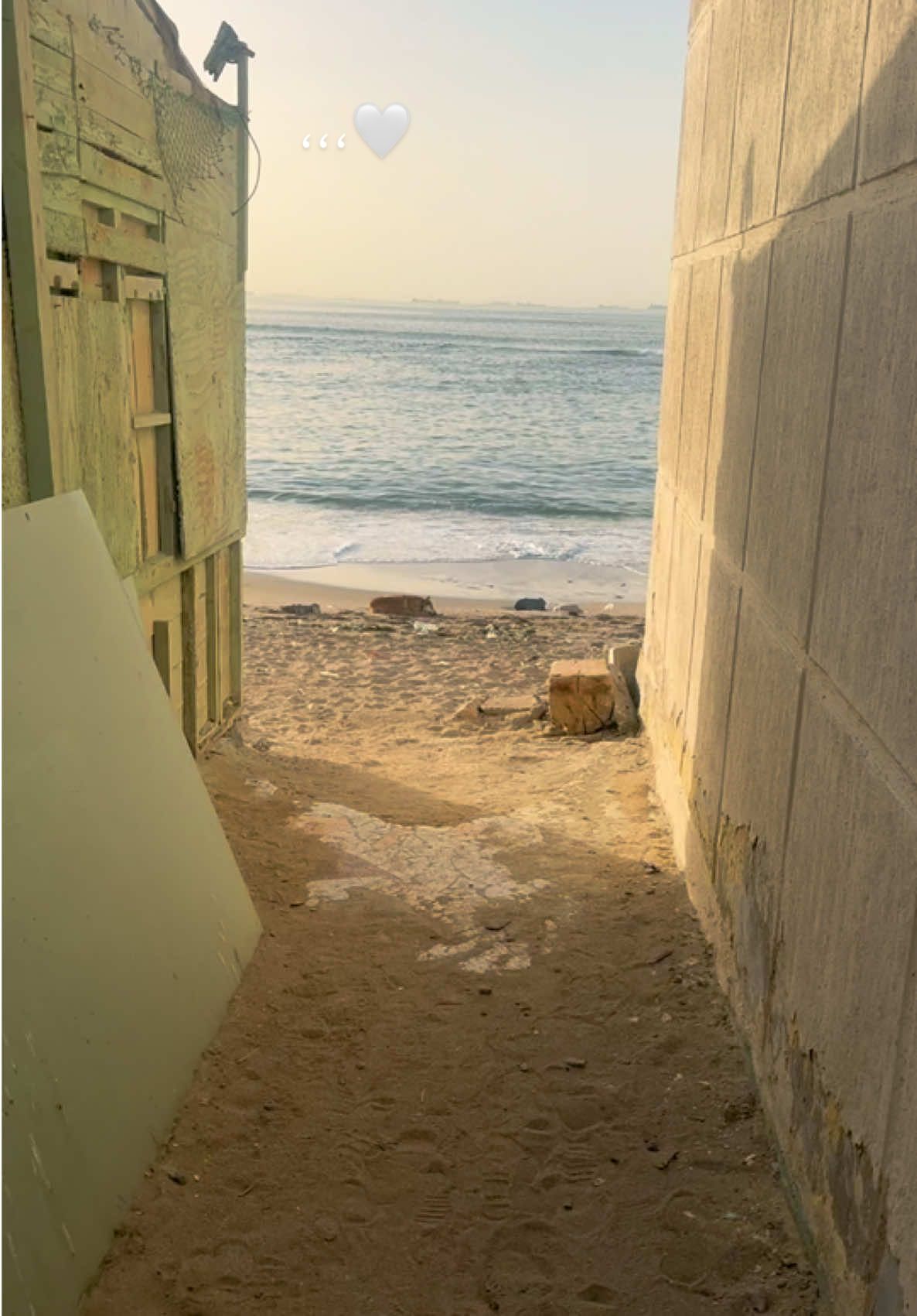 #alexandria #amrdiab #foryoupage #viral #sunset #sea #elmax #fyppppppppppppppppppppppp #عمرو_دياب #شوارع_اسكندرية #اسكندريه #سلمتلك #المكس #summervibes 