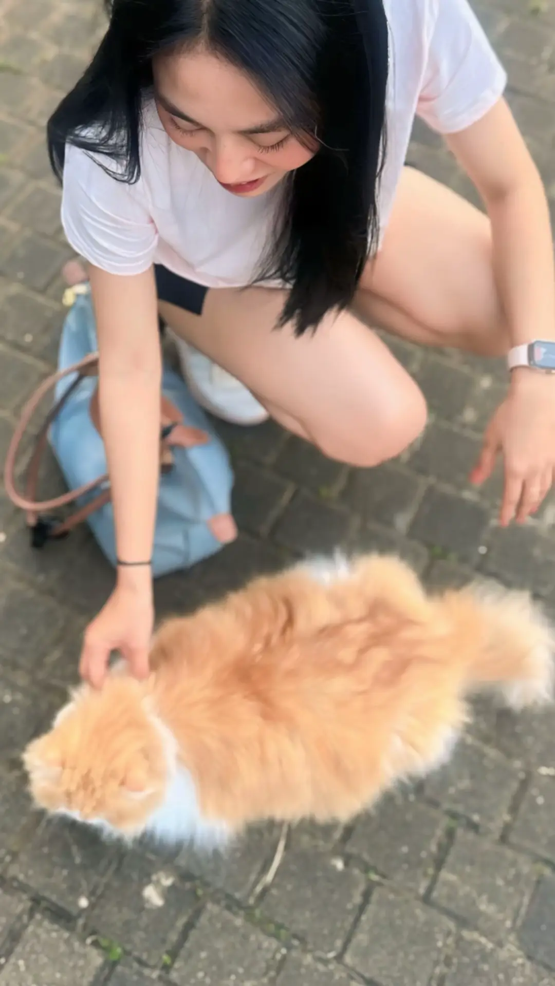 ✨