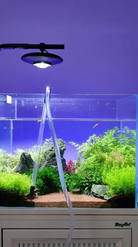 Easy water changes: Get Multiple Kits with your order!#aquarium #fyp #usa🇺🇸 #hygger #waterchanger #clean 