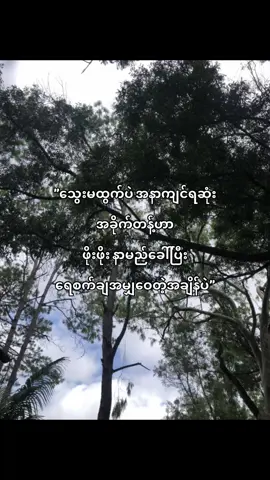 လွမ်းလိုက်တာဖိုးဖိုးရယ်💐#xybca #fypシ゚ #viewsproblem #viraltiktok #tiktoksports #xybca #viewsproblem #fypシ゚ #fyppppppppppppppppppppppp 