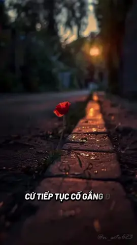 cứ tiếp tục cố gắng đi  #xuhuongtiktok2025 #xuhuong #tiktok 