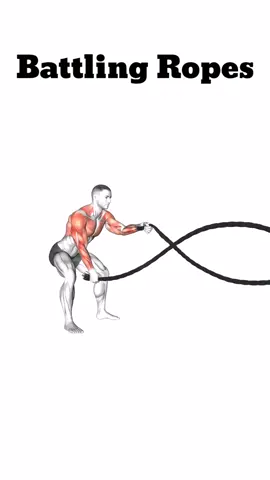 Battling Ropes#homeworkout #exercise #muscle #gym 
