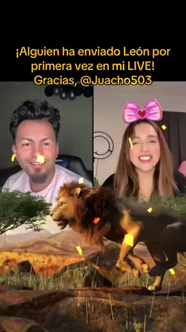 ¡Me ha encantado! ¡Gracias, Juacho503! Es la primera vez que veo este Regalo en mi LIVE.@Juacho503 #livegift #lion #león #LIVEIncentiveProgram #LIVEInteraction #PaidPartnership 