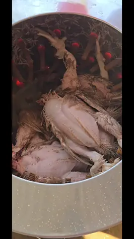 A plucking machine has become an essential at our farm for many reasons but most importantly for how well cleaned the chickens come out. #broilerchicken #broilerfarming #mombasa 