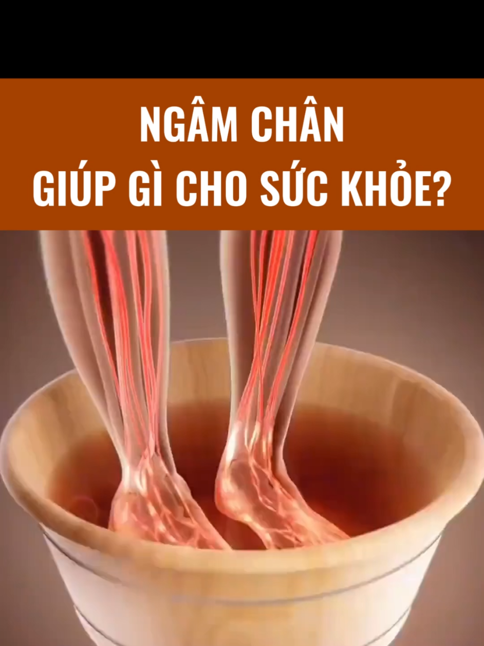Lợi ích của ngâm chân với sức khoẻ #loisonglanhmanh #ngamchan 