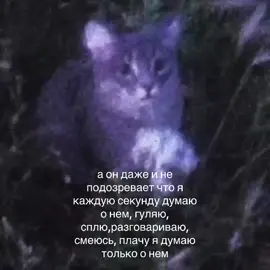 #переписка #щп #щпостинг #щппролюбовь 