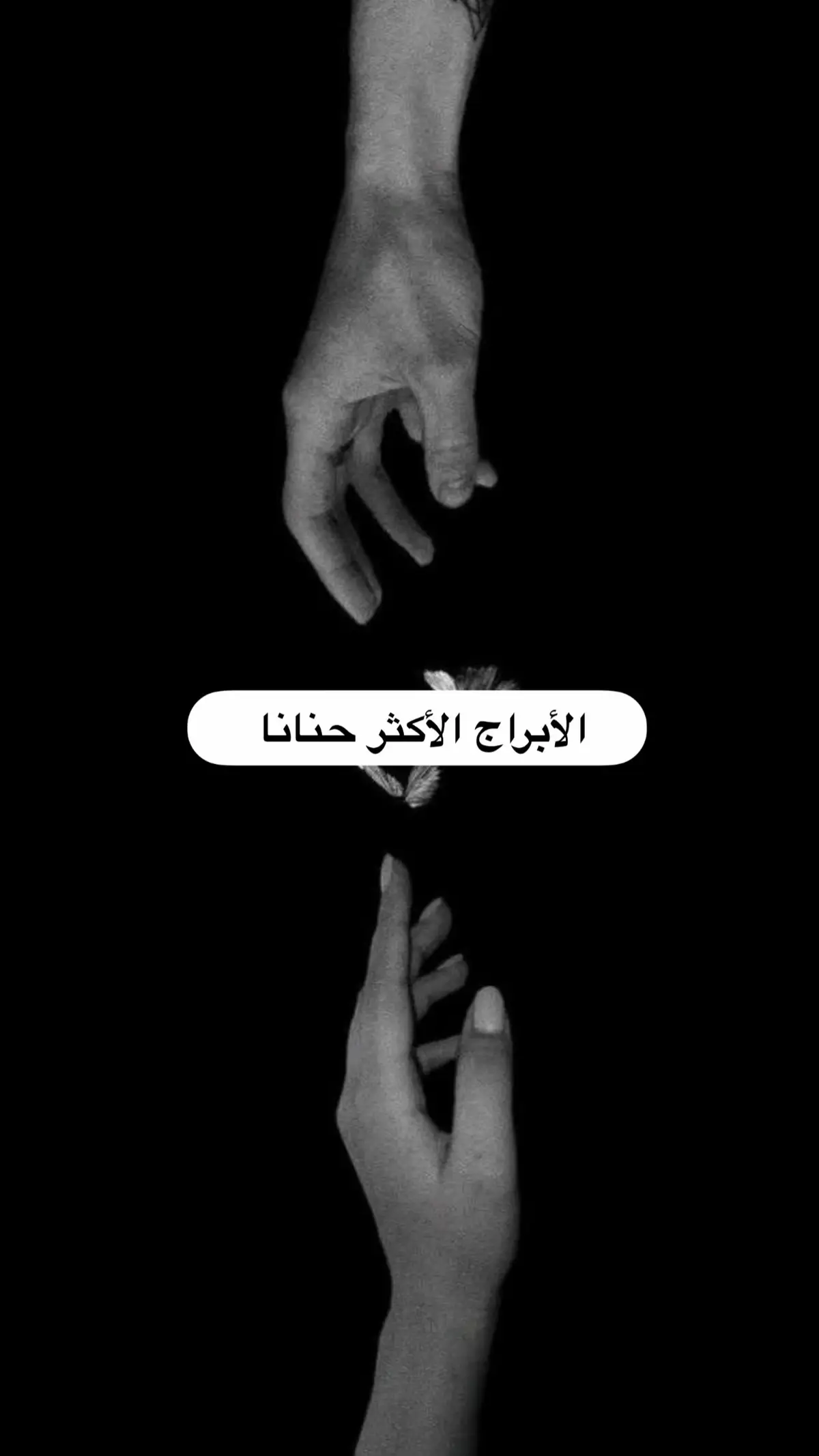 الأبراج الأكتر حنانا  #explore #اكسبلورexplore #اكسبلور #تاروت #حنان #