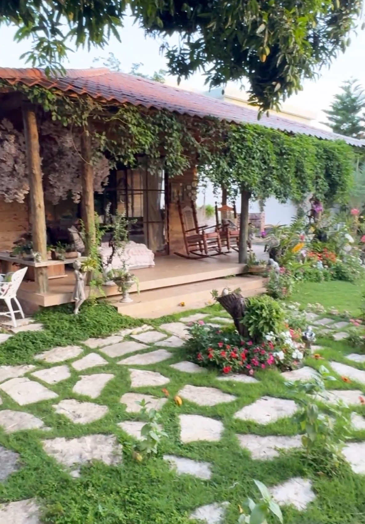 Salgo de casa, pero no voy lejos… Solo camino hacia el patio, hacia ese rincón donde habitan mis mejores momentos. Mis loros, mi aviario , mi jardín… y una casita de madera, un espacio personal  que se abre como el alma. Cuando entro, el espacio respira conmigo. Ellos lo saben. Se han adueñado de todo… incluso de mí. Y ya no sé si los visito… o si son ellos quienes me reciben en su casa. Tal vez soy yo la que vive dentro del aviario, o tal vez… este lugar ya es suyo🦜🦜🌷🌷 #RinconesD#RinconesDelAlmar#TiempoParaMíI#ConexiónInteriora#SanarEsHabitaro#MiEspacioSagradoa#LorosEnCasar#ConMisLorose#AmoMisAvesA#VivirConAveso#ReelConVozi#InspiraciónDiariaV#DiarioDeVidan#Reflexiónritual