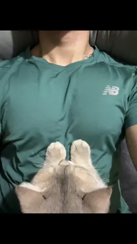 Hallo, ini babu aku, jangan pernah ada yang sakitin dia ya, kalo ga ada dia nanti aku tidur sama siapa, awas aja kalo ada yang berani gangguin babu aku siap-siap aja aku cakar pake kuku yang ada di paw aku😾😾😾  #fyp #fypage #fyppppppppppppppppppppppp #cat #cats #catlover #catlovers 