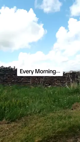 #grow #forupage #fypviralシ #uklife🇬🇧 #foru #viralvedio #viral #foryou #fyp 