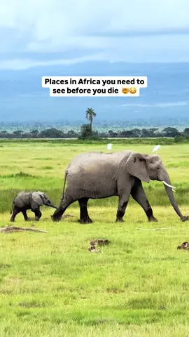 All the details👇🏼🤯😍 Africa is a very special continent and there truly are some epic places in Africa that are beyond mind blowing!  These are 5 places you need to add to your bucket list!  📍Maasai Mara National Reserve Location: Kenya Closest international airport: Nairobi ✈️ Best time to visit: Jan-Feb & July-August PRO TIP:  Visit during low or shoulder season to avoid the epic crowds! 📍Sandwich Harbour Location: Namibia 🇳🇦 Closest international airport: Windhoek ✈️ Best time to visit: May-October PRO TIP: You need a permit to access this area, so we recommend booking a 4x4 tour! 📍Serengeti National Park Location: Tanzania 🇹🇿  Closest international airport: Kilimanjaro ✈️ Best time to visit: Jan-Feb & July-August PRO TIP:  Visit during Jan & Feb for the wildebeest calving season, cheaper rates & fewer crowds! 📍Ngorongoro Crater Location: Tanzania 🇹🇿  Closest international airport: Kilimanjaro ✈️ Best time to visit: Jan-Feb & July-August PRO TIP:  Visit early in the morning to avoid the crowds! 📍 Greater Kruger Game Reserves Location: South Africa 🇿🇦  Closest international airport: Hoedspruit ✈️ Best time to visit: May-October PRO TIP: We recommend visiting at least 2 lodges on 2 different reserves within the area!  ⭐️DM us for safari tour operator recommendations!  #safaritrip #AfricanSafari #safariadventure #BucketListTravel #africa #bucketlistdestination #dreamdestinations #bucketlistadventures #exploretheworld 