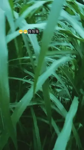 বুদ্ধি টা কেমন একদম ঠিক করছি  না আমি তোমরাই বলো 😁😁 #fyp #foryoupage #foryou #vairal #tiktok?bangladesh 