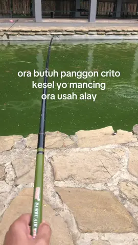 meneng anteng ireng🙌🏿😭 #spotmancing #mancinggok #pemancingan #bawel #sragen #fyp