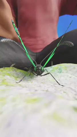 Crushed Butterfly Challenge 😨