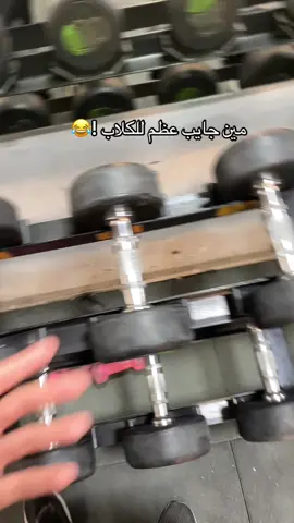#gym #Fitness #palestine🇵🇸 #nablus🇵🇸 #fyppp 