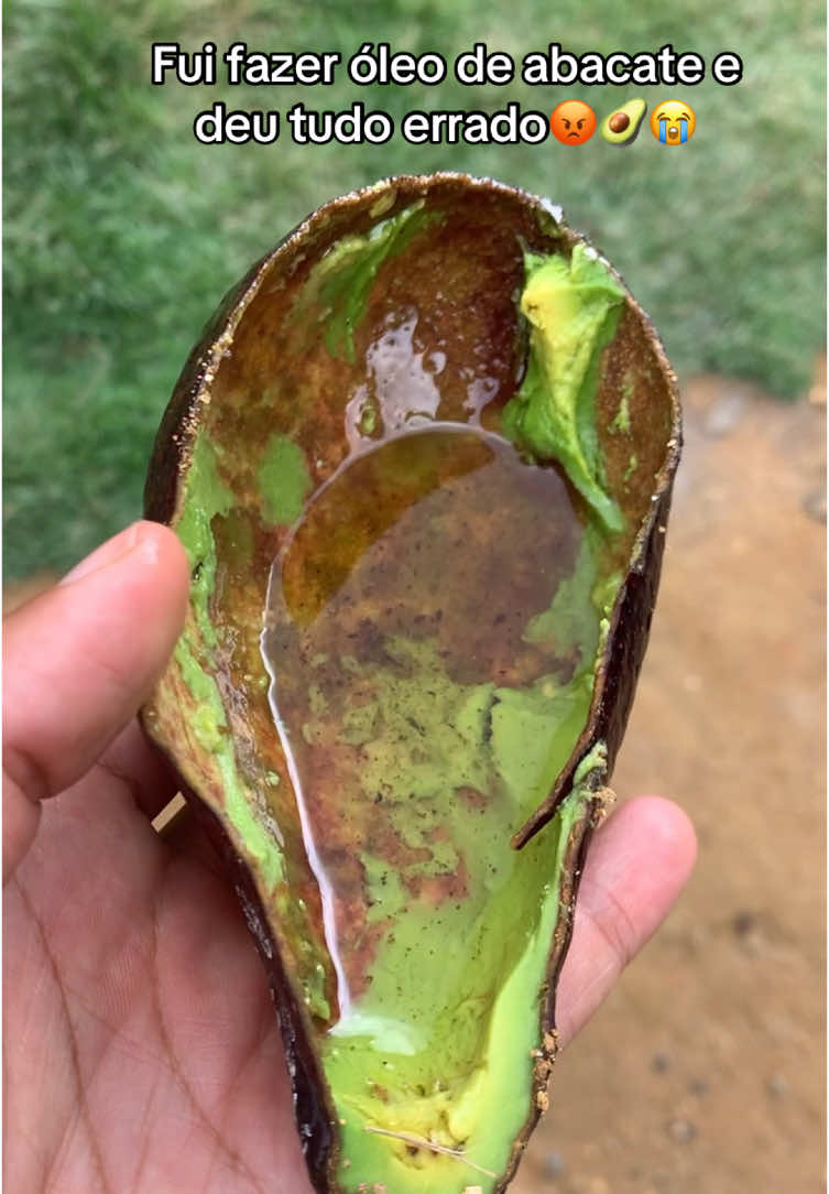 #abacate #receitas #viraliza 