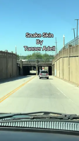 #tanneradell #snakeskin #newmusic #countrymusic 