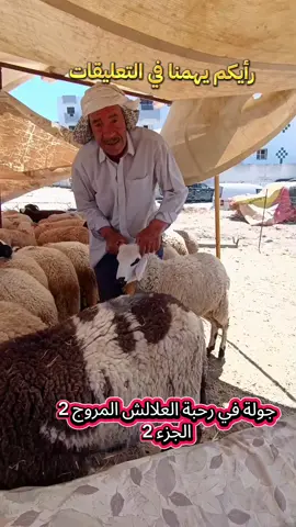 جَولة في رحبة العَلالش  الجزء 2، المكان في المروج 2  عِيد الإضحى المُبارك  2025 ❤️😍   #تونس_المغرب_الجزائر #عيد_مبارك #رحبةالعلاش #الاسوام #تونس🇹🇳 