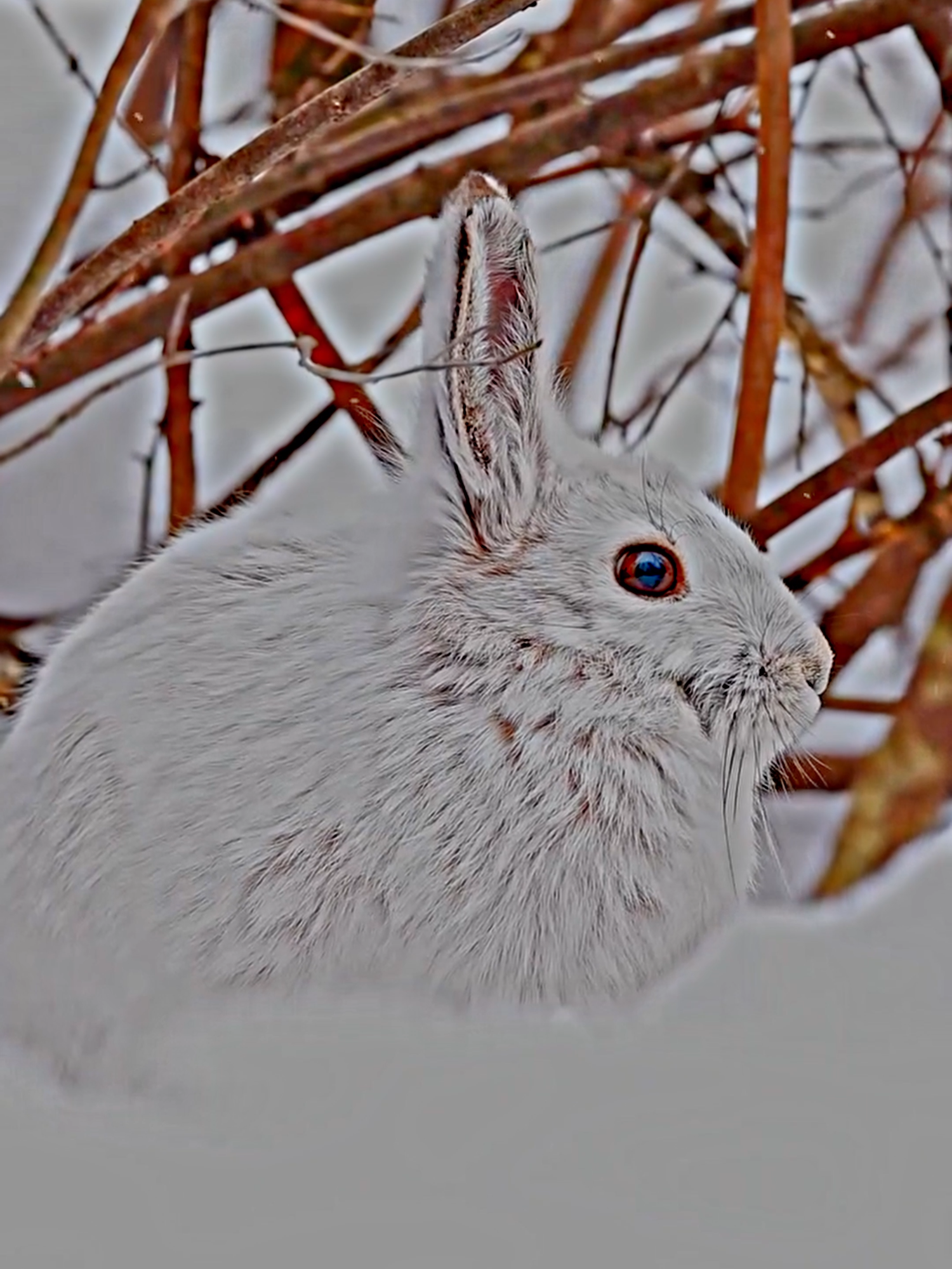 The beauty of Earth 💫 #hopecore #nature #viral #edit