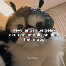 cepattt lahhh😾🤣