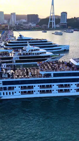 “Tưởng đang vi vu Monaco, ai ngờ chỉ là Hạ Long xinh đẹp!” “Hạ Long hôm nay đẹp như một góc trời Âu…”     #halong #vinhhalong #dulichhalong #duthuyenhalong #trending #viralvideo #cruise #duthuyen 