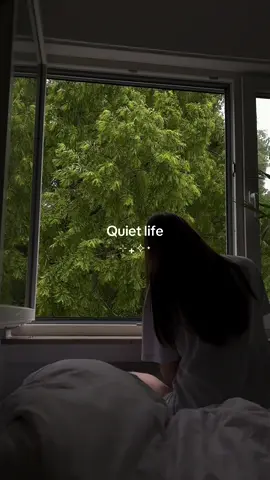 #quietlife #life #darkasthetics #peace #xybca #asian#simplelife #aesthetic#rain#calm#calming 