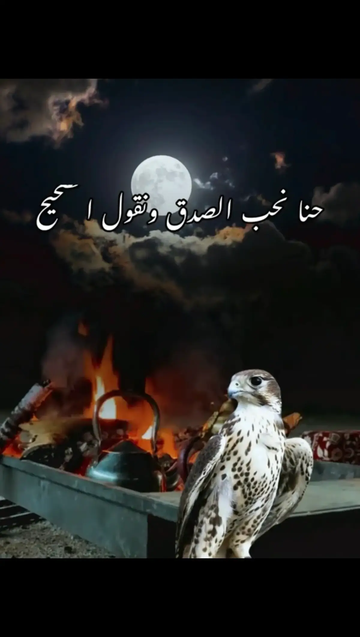 #قصائد_شعر_خواطر  #اكسبلور #كلام_من_ذهب #fyp #tiktok 
