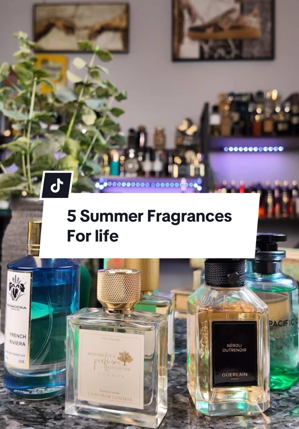 What would you guys choose? #fragrances #fragrancelover #nichefragrance #CapCut 