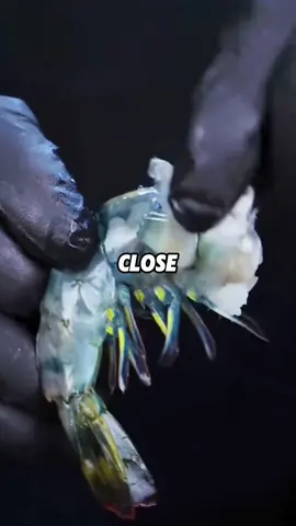 Part 2 🎤📻 Brooke and Jubal Second Date Update 📲Credit:@The Jubal Show  #fpy #fpyシ #seconddateupdate #secondhand #brookeandjubal #phonecall #part2 