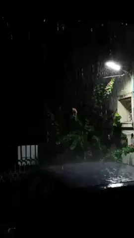 যুগের পর যুগ কেটে যাবে কিন্তু বুকের বাম পাশে তুমি রয়ে যাবে,,,🫶🥰🌺🌺 ##fyp ##fyp ##fyp # ##foryoupage ##foryou  ###treandingsong ### ##fyp ##fyp ##trending 