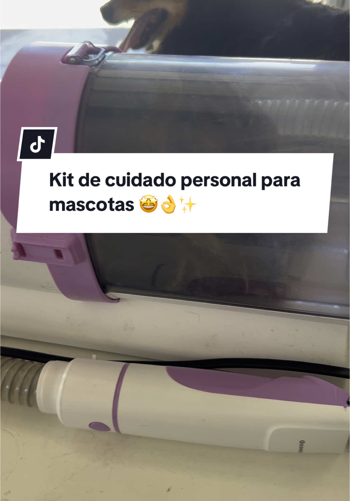 KIT DE CUIDADO PERSONAL PARA MASCOTAS CON ASPIRADORA DE PELOS 🤩👌✨🤩👌✨🤩👌✨🤩#dog #dogvacuum #grooming #doggrooming #doggroomingtips 