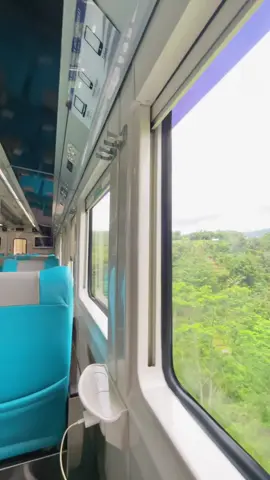 View jembatan cikubang dari dalam kereta. Siapa yang sering lewat sini terus ambil moment? Inframe : KA Parahyangan 138 Gambir - Bandung • #fyp #keretaapiindonesia #kai121 #bandung 