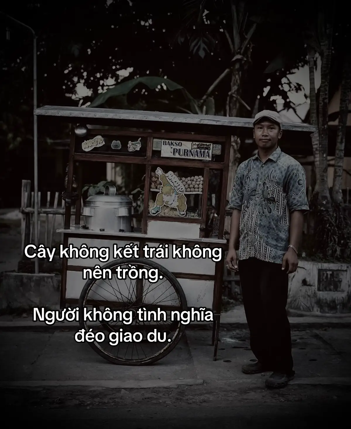 Cây không kết trái không nên trồng Người không tình nghĩa đ.éo giao du.#viralvideo #top1xuhuongtiktok 