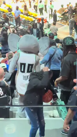 #ellie #newyorkcity #newyorkliberty #WNBA #basketball #ellietheelephant 